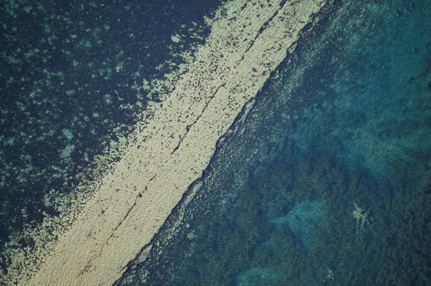 Asphalt, Water Ripples and Stump, Farran’s Point, Ontario, Canada