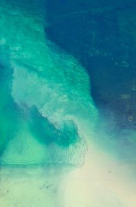 Sediment Plume